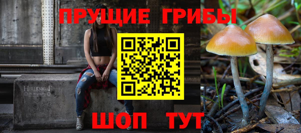 Псилоцибиновые грибы GOLDEN TEACHER  Вход с VPN  Лесосибирск 